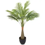 Chamaedorea Mini Palm