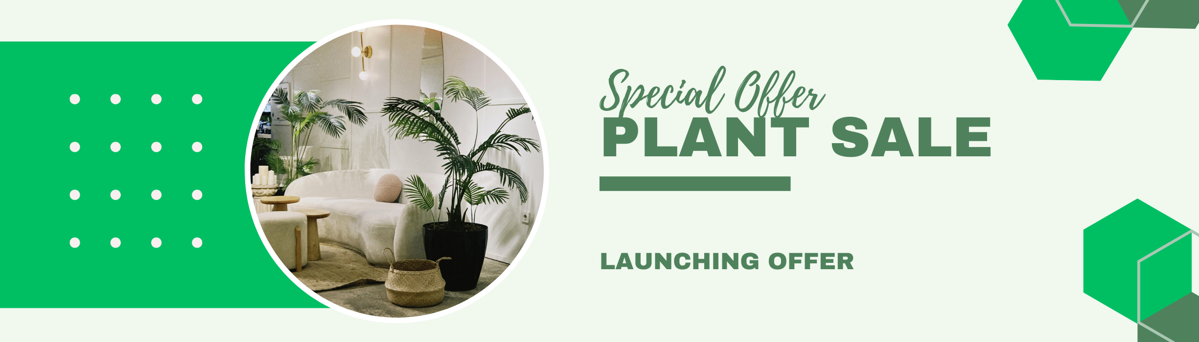 The Online  Plants Store