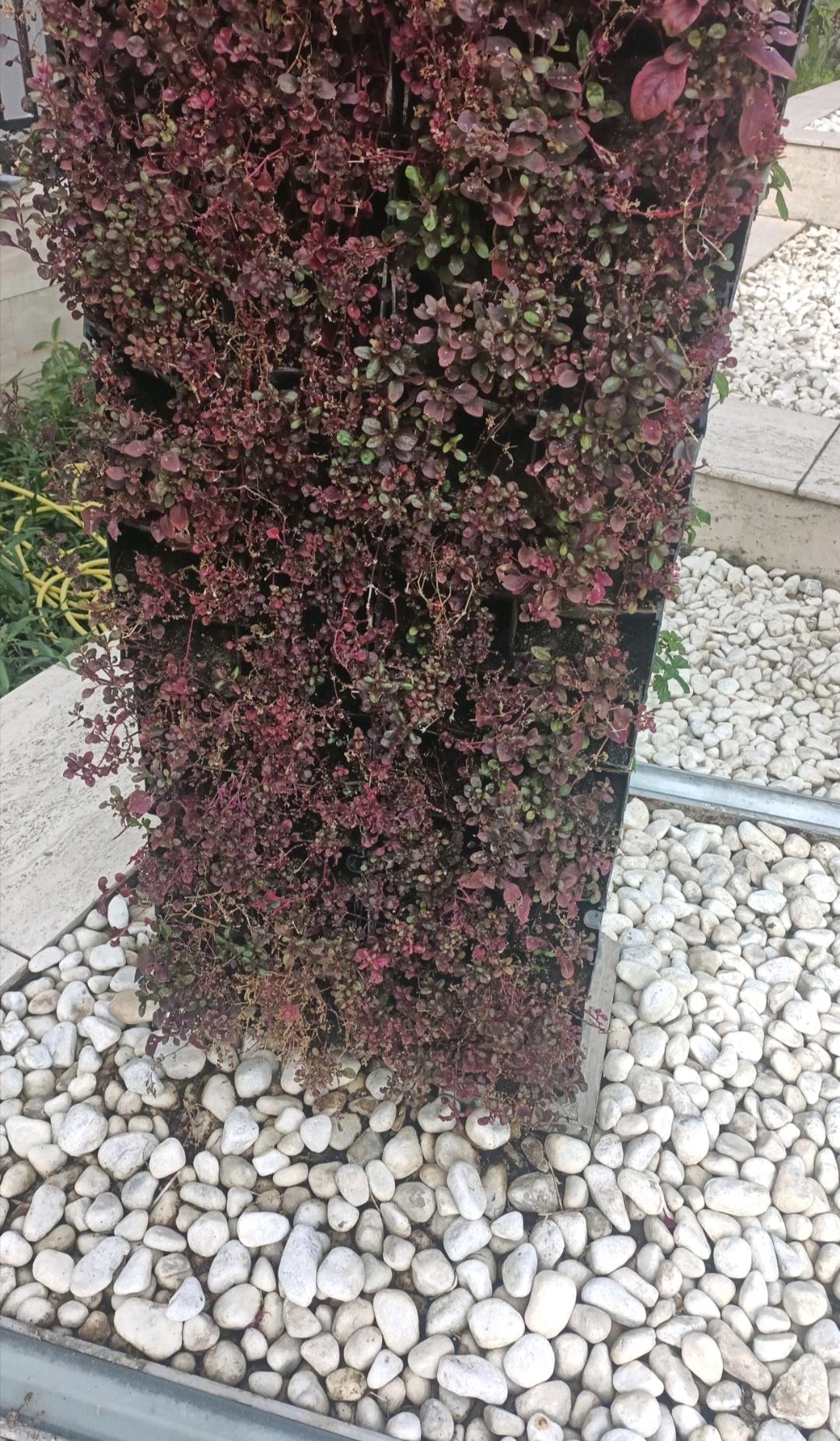 Corporate Headquarters