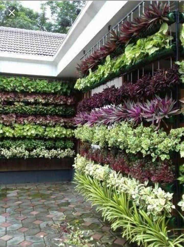 Green Wall