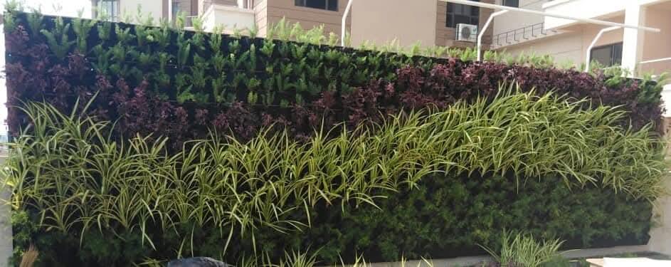 Modern Garden Design