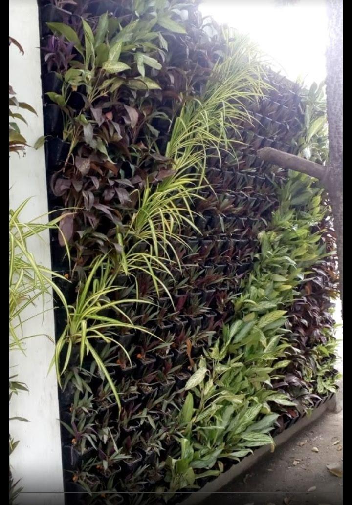 Office Vertical Garden