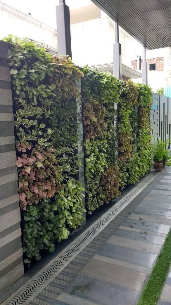 Commercial Space Garden