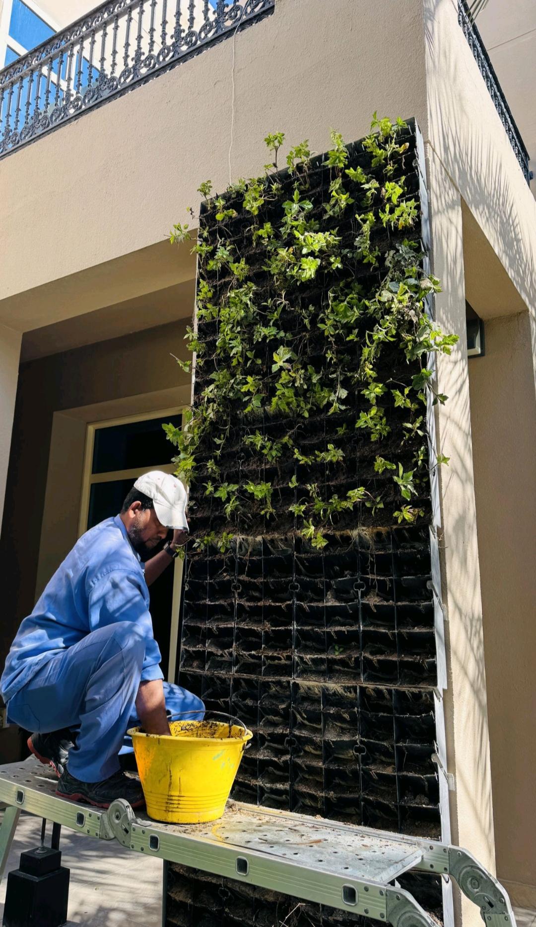 Corporate Green Wall